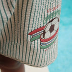 Konges Sløjd A/S SWIMSHORTS tea stripe