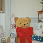 Konges Sløjd A/S TEDDY BEARS multi